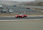 races 019